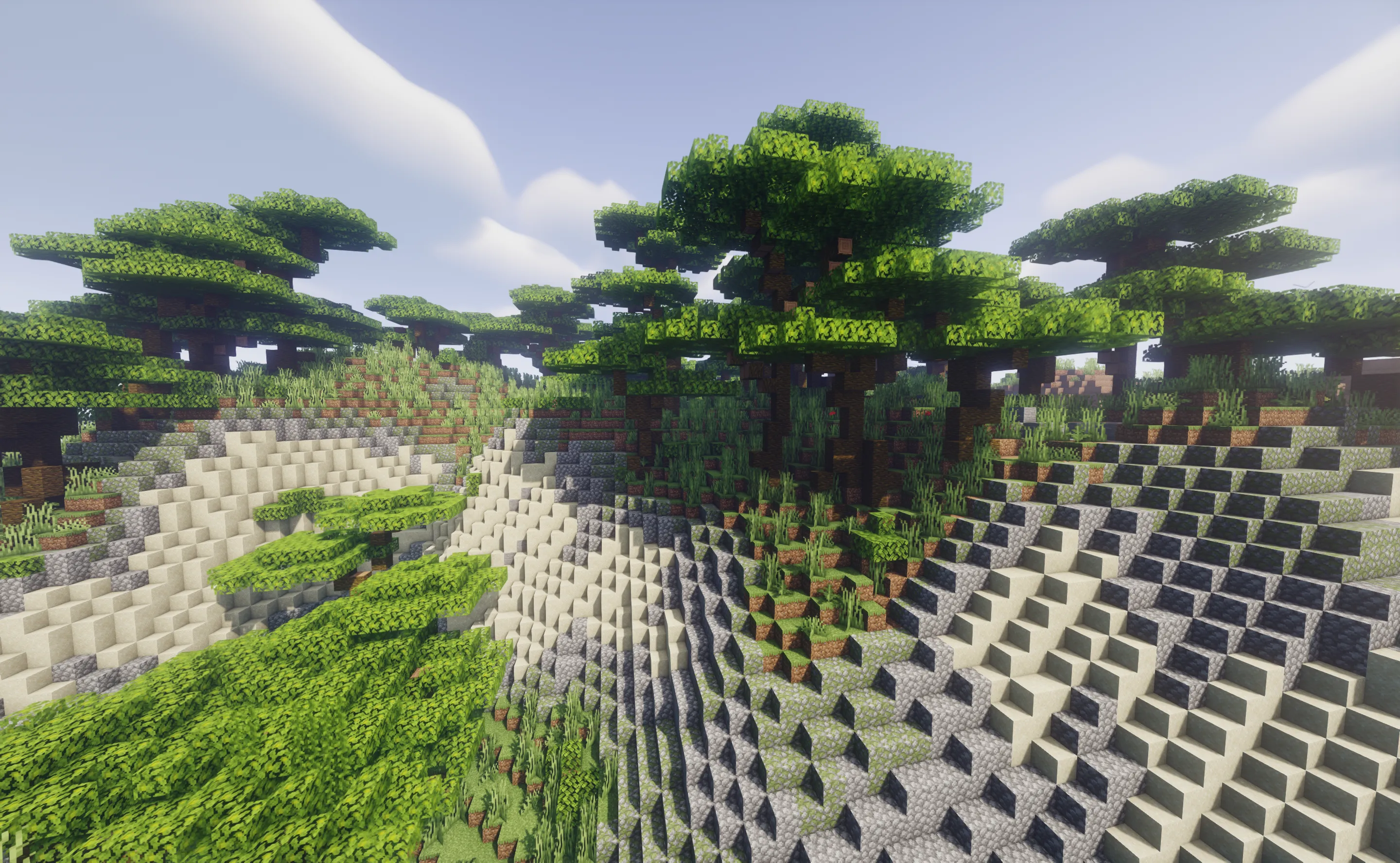 Terra-generated Minecraft terrain with trees above a rocky shoreline.